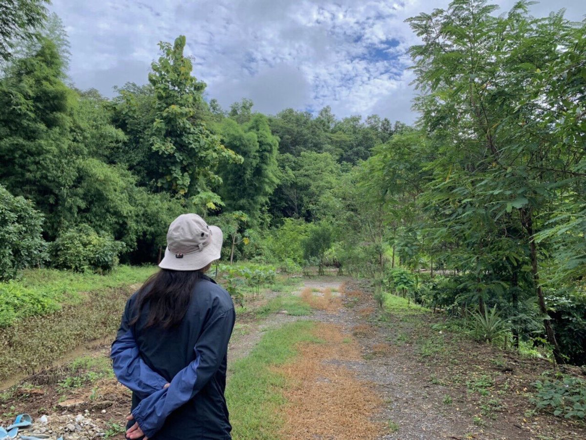 PinutdaT's tweet photo. คนฟังก็หูเบา ' คนเล่าก็ปากหมา
ถึงว่าละ ' มันถึงคุยกันรู้เรื่อง 🤭😌
#ยืนงงในดงดอกเเค 
#เดินป่า 🌱🌿 https://t.co/w5AECParfM