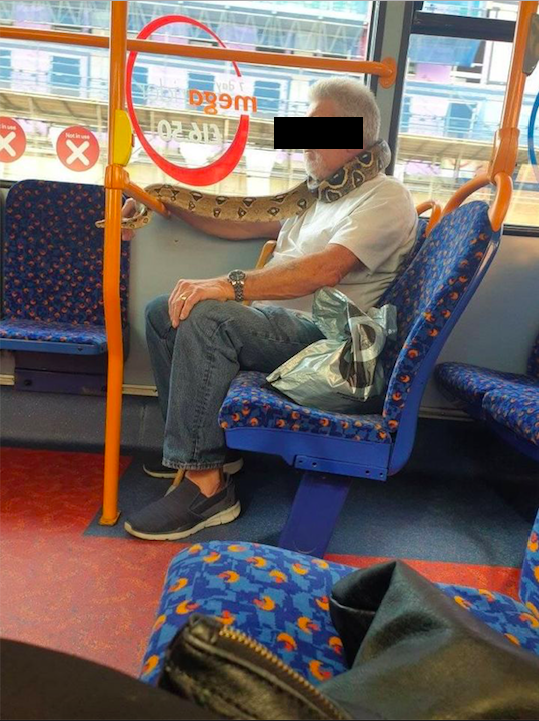 McrFinest's tweet photo. This guy was spotted using his snake as a face mask on a bus into today...each to their own and all that 🤣🐍

Credit - Alison Jones / Swinton People https://t.co/hX2F8RWYvw