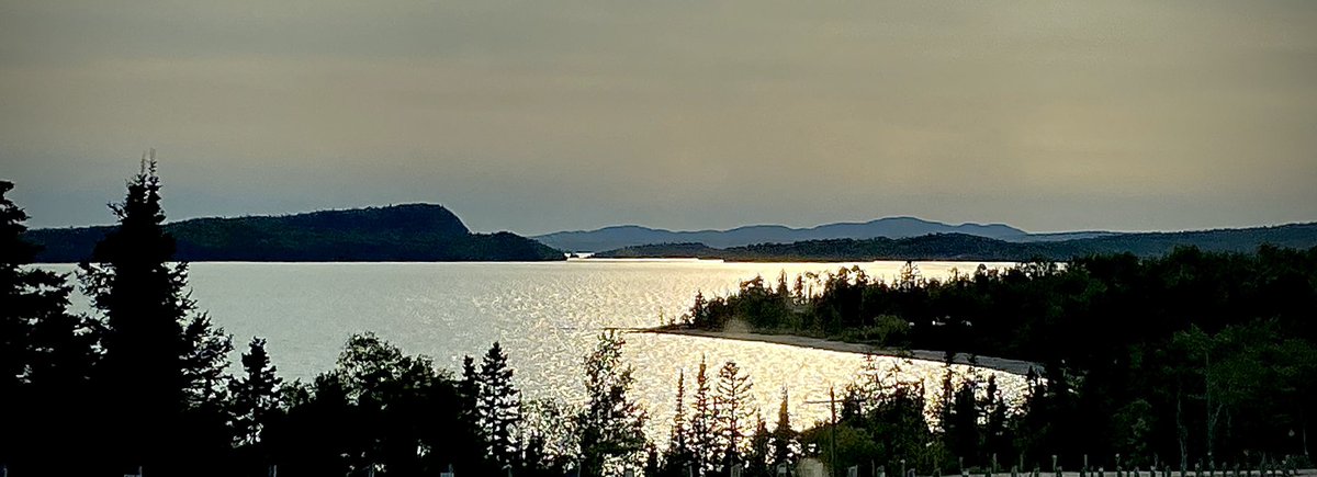 robert mcaffee tweet media