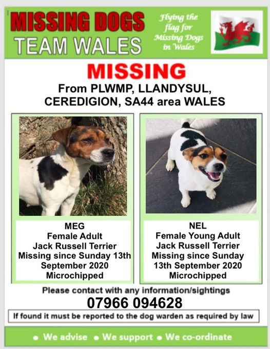 gelert01's tweet photo. #MEG & #NEL Missing 13/09/2020 #PLWMP #LLANDYSUL #CEREDIGION #SA44 area #Wales Both #chipped
@MissingPetsGB @rosiedoc666 @KarenFi51820768 @RachaelB100 @ChrstinaKelly @CarolPoyerPeett @juliagarland73 @janice_adams3 @JanJanken1704 @JanetPo01318164 @blacklab115 @Anthony_Bailey_ https://t.co/N07uS8aJ3x