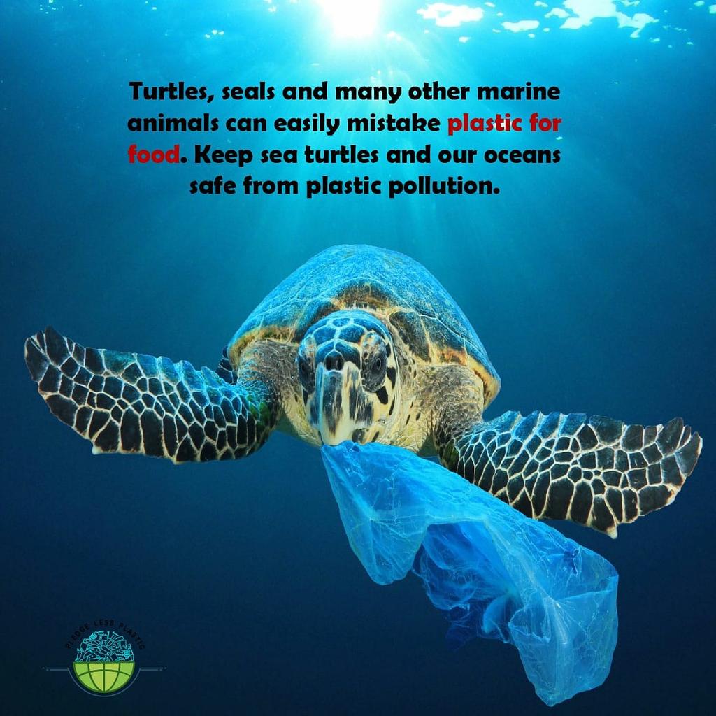 LessPledge's tweet photo. Green strategy to pledge less plastic
Plastic products are present everywhere. Plastic pollution has become a global problem and a global problem requires a global solution. We must pledge less plastic to reduce and eliminate plastic pollution by adopting green strategy. https://t.co/vRmnsF8sxP