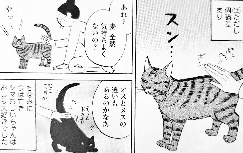 ちなみに麦は肛門を見せに来たことはない 