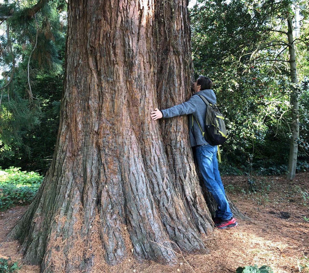derKirchner's tweet photo. Lebensmüde. #explosivetrees https://t.co/35lGMGPMfX