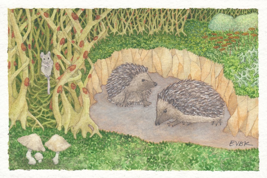 Some bright new work, rich with story and life from Elspeth Bourne-Kebbell! elspethbk@gmail.com to inquire about getting yourself a lovely print ☺️