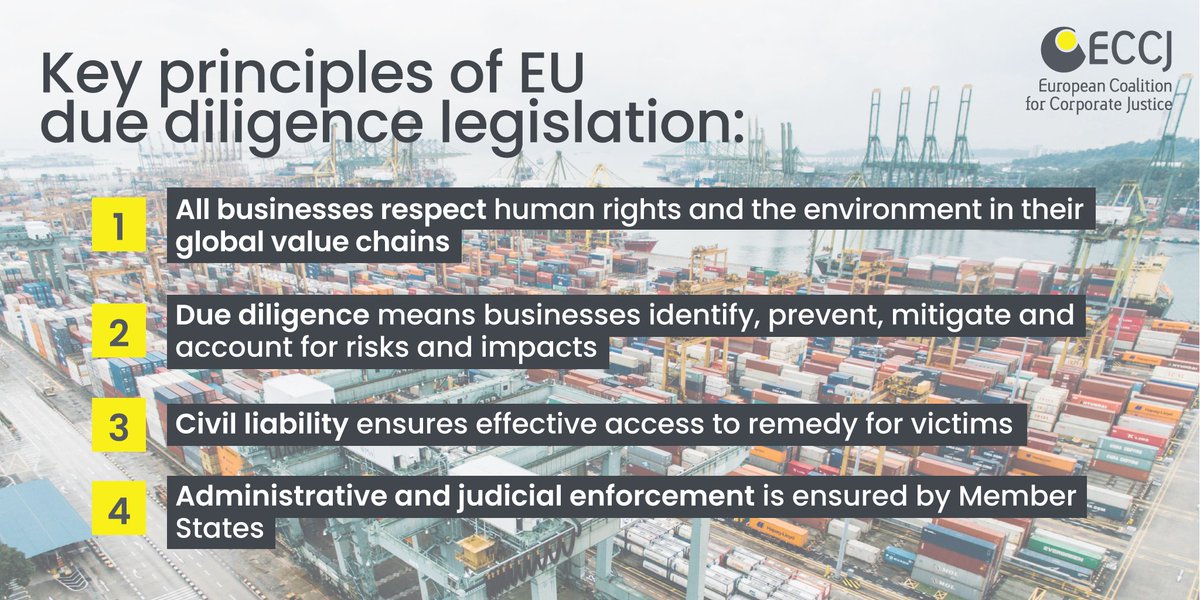 📢 We, civil society, call on all 🇪🇺 ministers <a href="/EUCouncil/">EU Council</a> &amp; <a href="/EU_Growth/">Internal Market, Industry, Entrepreneurship & SMEs</a> <a href="/EU_ENV/">EU Environment</a> <a href="/EU_Justice/">EU Justice</a> to forge ahead with an EU action plan on Business &amp; Human Rights, which must include EU #DueDiligence laws!

Our vision for the new legislation &amp; its key elements 👇
corporatejustice.org/principal-elem…