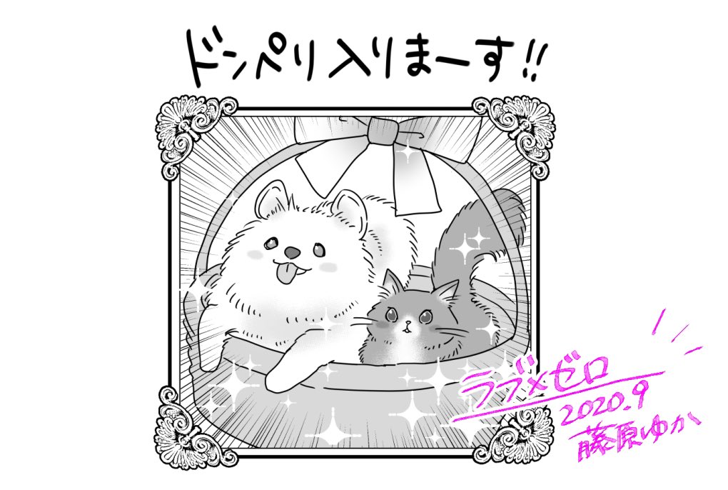 【配信お知らせ】安心のGoTo二次元 ドリームホストクラブ漫画「ラブ×ゼロ」幕間回となっております!つかのまのモフモフ癒しを…🐶🐱
▶︎ https://t.co/c5YLZh2ajq
#LINEマンガ #ラブゼロ