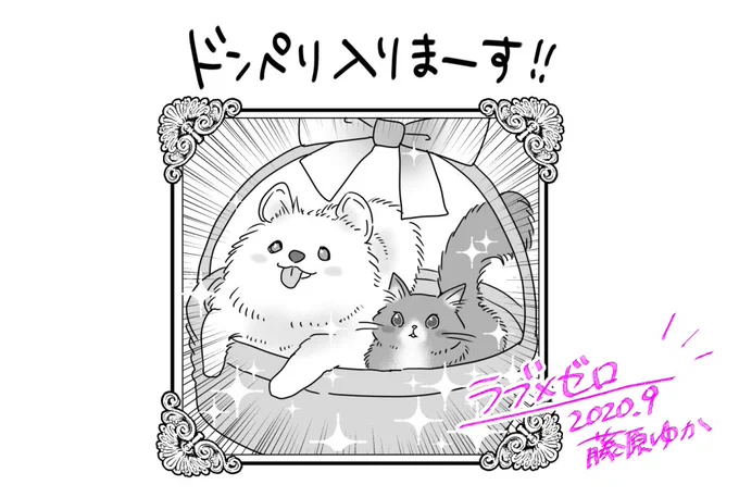 【配信お知らせ】安心のGoTo二次元 ドリームホストクラブ漫画「ラブ×ゼロ」幕間回となっております!つかのまのモフモフ癒しを…🐶🐱
▶︎ https://t.co/c5YLZh2ajq
#LINEマンガ  #ラブゼロ 