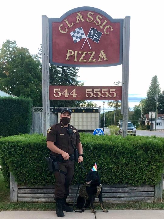 ArmorExpress's tweet image. Happy belated birthday, Deputy Bricko! Looking sharp!

#birthday #pup #k9 #tongueouttuesday #workingdog #workingdogs #happybirthday
