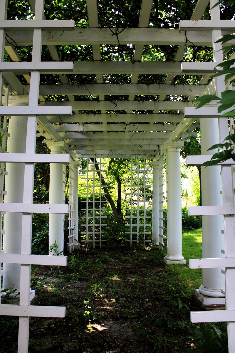Caroline_Jean's tweet photo. Going through the fence #Photography  #ArtistOnTwitter https://t.co/v6HeQsT2Sm