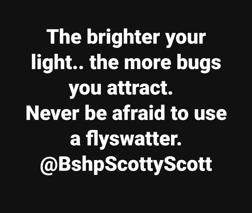 YogikRhythms's tweet photo. #light  #flies #flyswatter https://t.co/VqepMeTyep