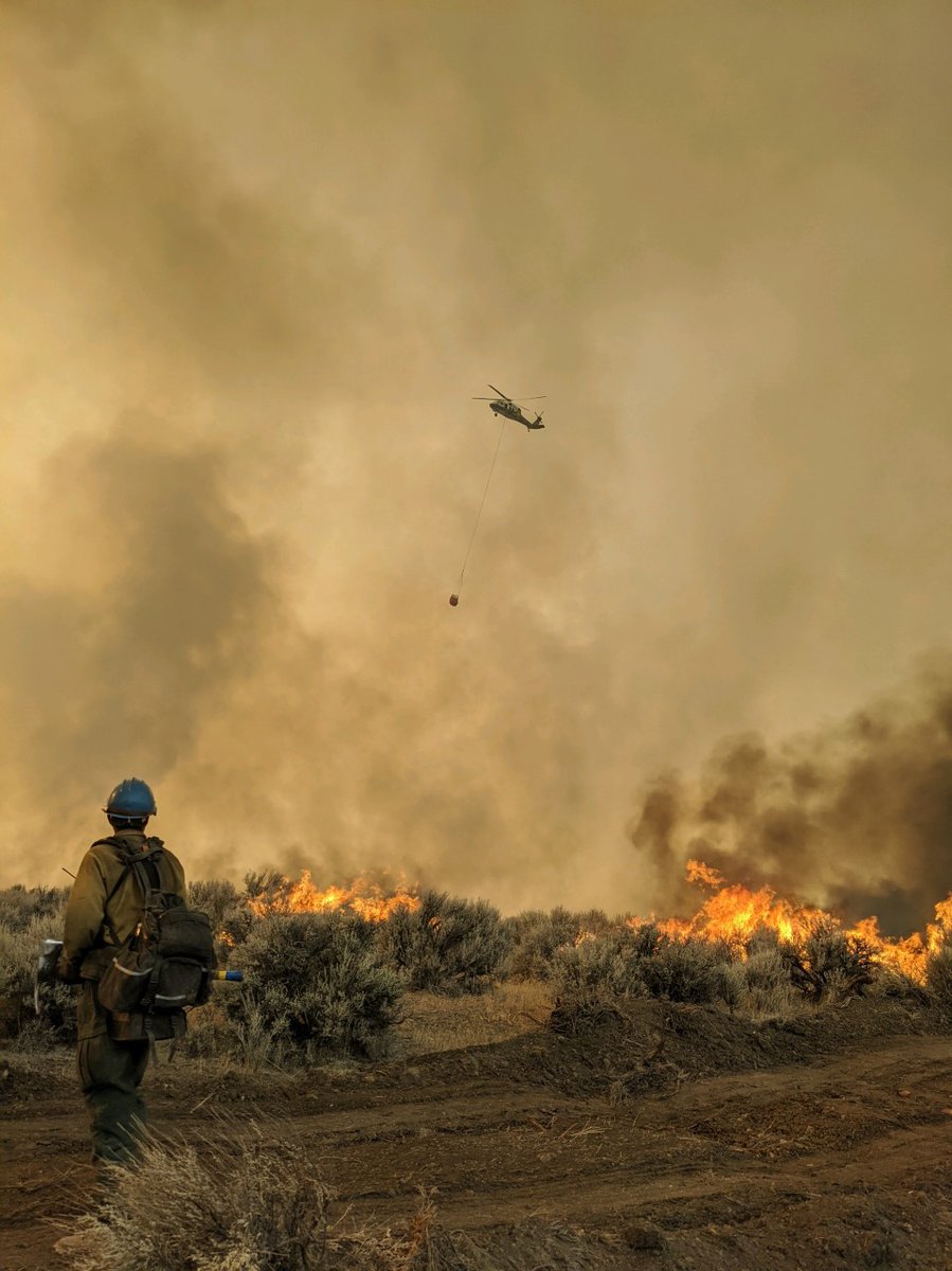 scofmpfireinfo's tweet image. 🔥 #BrattainFire, 8 miles south of Paisley, is 34,151 acres and 15% contained. Evacuations, road, trail, and area closures remain in effect. inciweb.nwcg.gov/incident/7172/
🔥 #TwoFourTwoFire, 7 miles east of Fort Klamath, is 14,536 acres and 15% contained. inciweb.nwcg.gov/incident/7159/