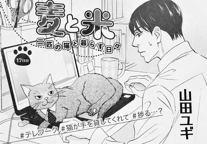 猫エッセイはOPERAさんで連載中ですよろしくお願いいたします?(今月発売の号はお休みをいただいております) 