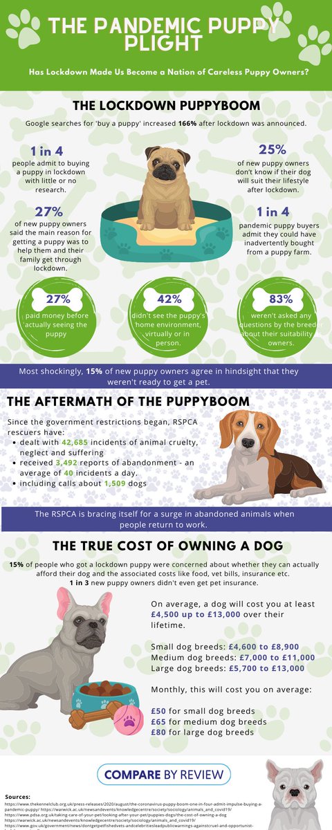 comparebyreview's tweet photo. We've taken a look at independent research to question whether lockdown has made us become a nation of careless puppy owners. Read the report here > https://t.co/2f3kBnFIBh
#TuesdayThoughts #ComparebyReview https://t.co/VfOgX9wvw3