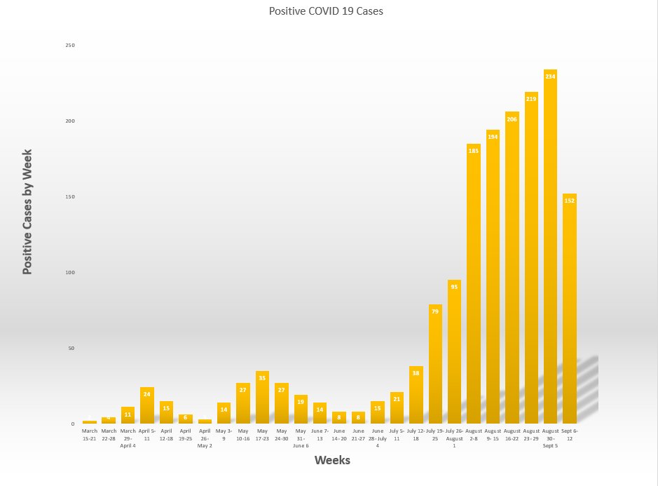 VigoHealthDept's tweet photo. Here are Vigo County's weekly graphs for COVID-19. The first graph shows the new number of cases per week. The second is the cumulative number of cases. https://t.co/K0DbvwOVo8