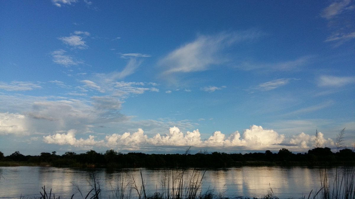 navarro_alb's tweet photo. Publicado 5º Informe Perspectiva Mundial sobre la Diversidad Biológica
En él se muestra que no cumpliremos ninguna de las metas de Aichi y que, a pesar de los avances, la #naturaleza está sufriendo severa/ y su situación sigue empeorando
https://t.co/KNb6Z7m0ps
#GBO5 #MetasAichi https://t.co/qmeK5chzEA