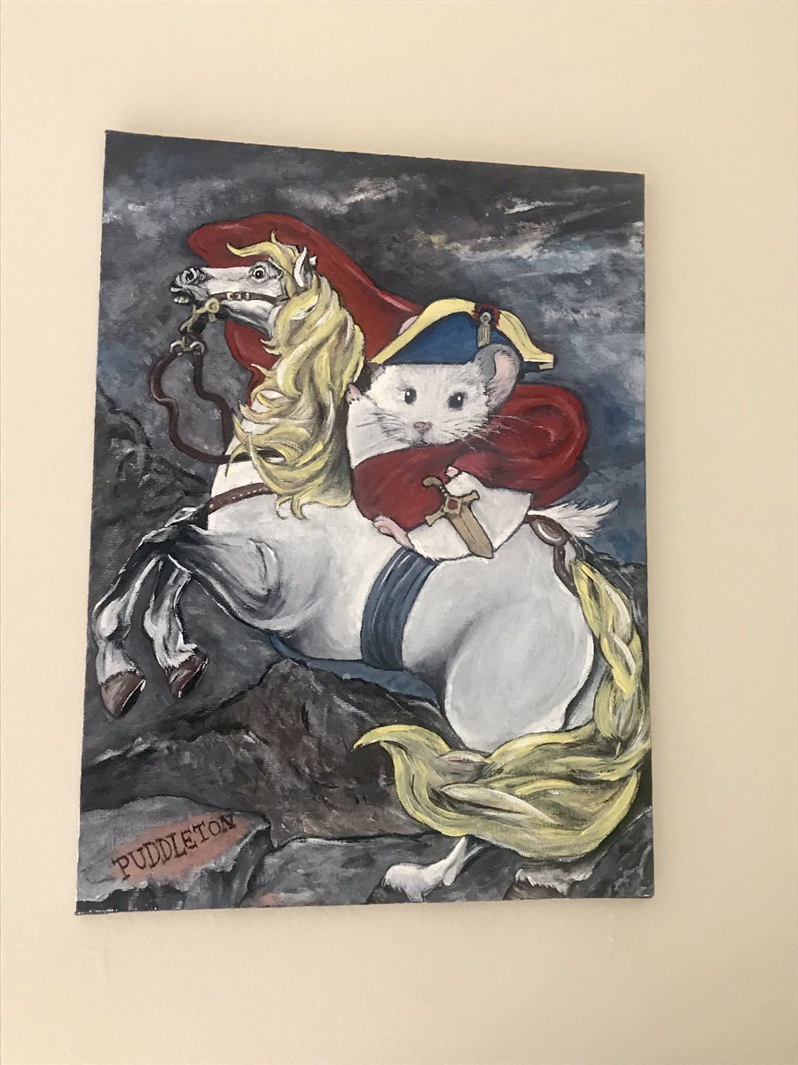 DrChenchilla77's tweet photo. In ERAS I said I paint my chinchilla in famous works of art. The fellowship programs I’ve interviewed with so far seemed to have loved it! If you have a quirky talent/hobby (nothing inappropriate...use ur judgement!), I say talk about it during your interview🤓 Makes u stand out! https://t.co/03dkLwEKES