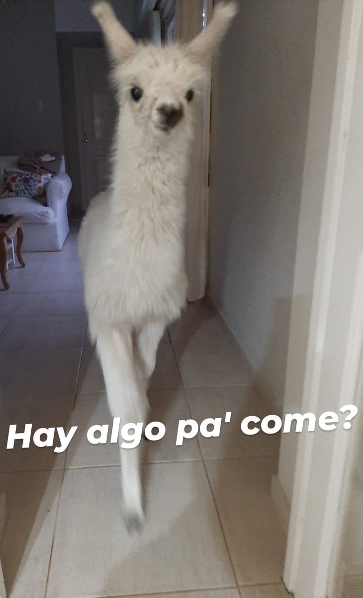 Rolita (@_onerolita) on Twitter photo 