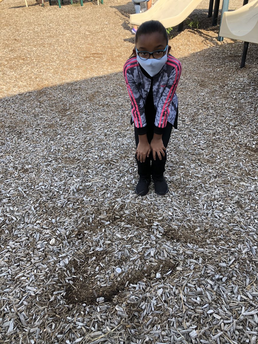 Shelly Flake tweet media