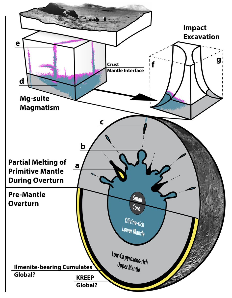 We focused on reconciling Mg-suite petrogenesis considering KREEP-poor lunar meteorites (Gross et al., 2020), geochronology/mantle overturn (Borg et al., 2020), & the paucity of olivine-mantle in the remote sensing database (Melosh et al., 2017).  https://twitter.com/OMGsuite/status/1303344717846007814