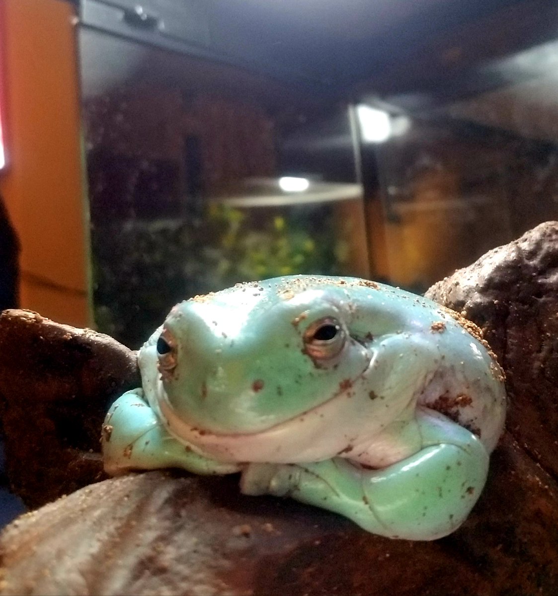 Big momma has a full belly and a big smile on her face