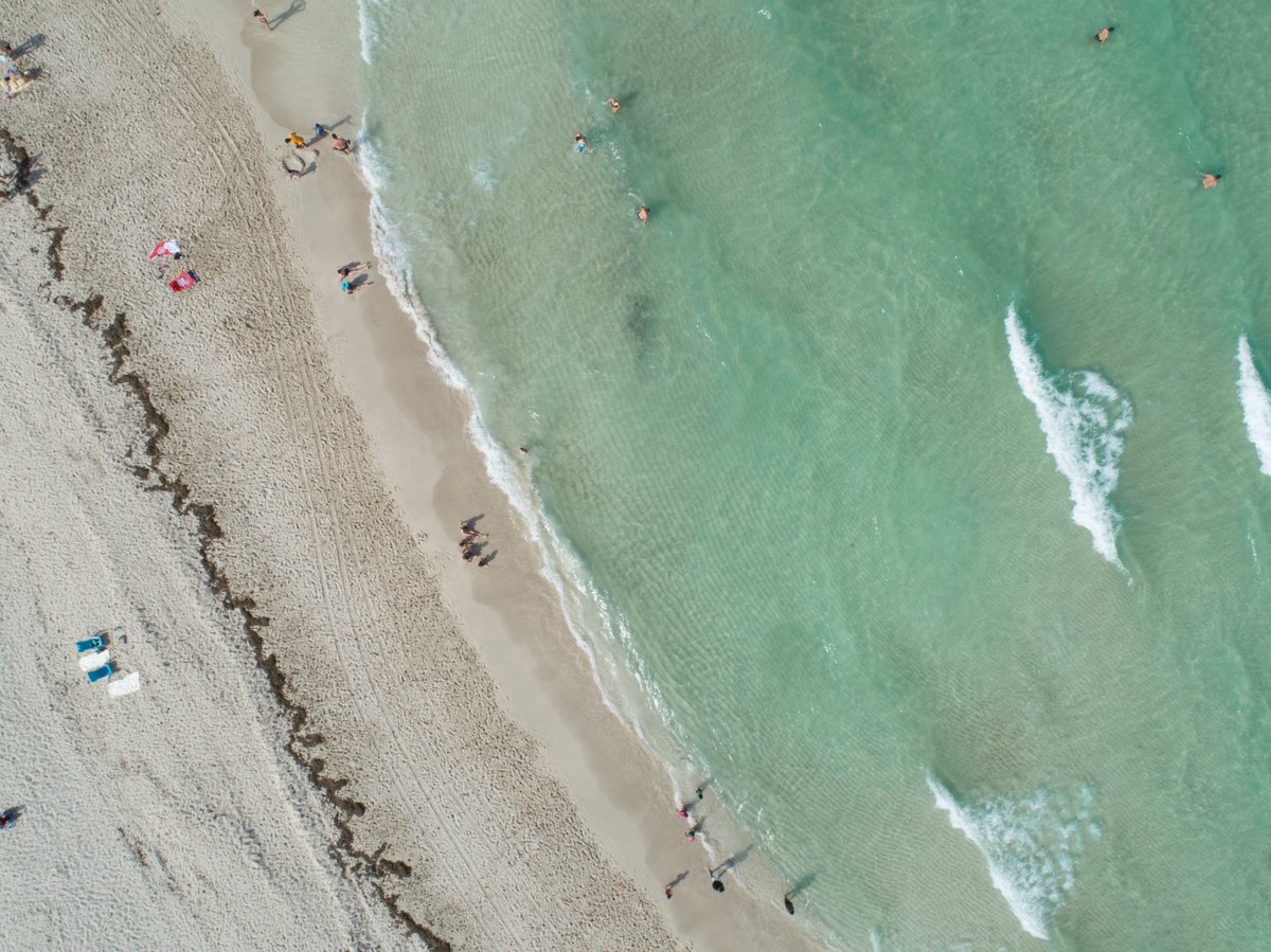 visitmiami's tweet image. Exciting News: The annual @TrazeeTravel awards rankings have been released and our very own @MiamiBeachNews has been nominated for the top 10 Favorite Beach Towns in Florida! Show off your Miami pride and help us take home the top spot! bit.ly/3hw00Uk