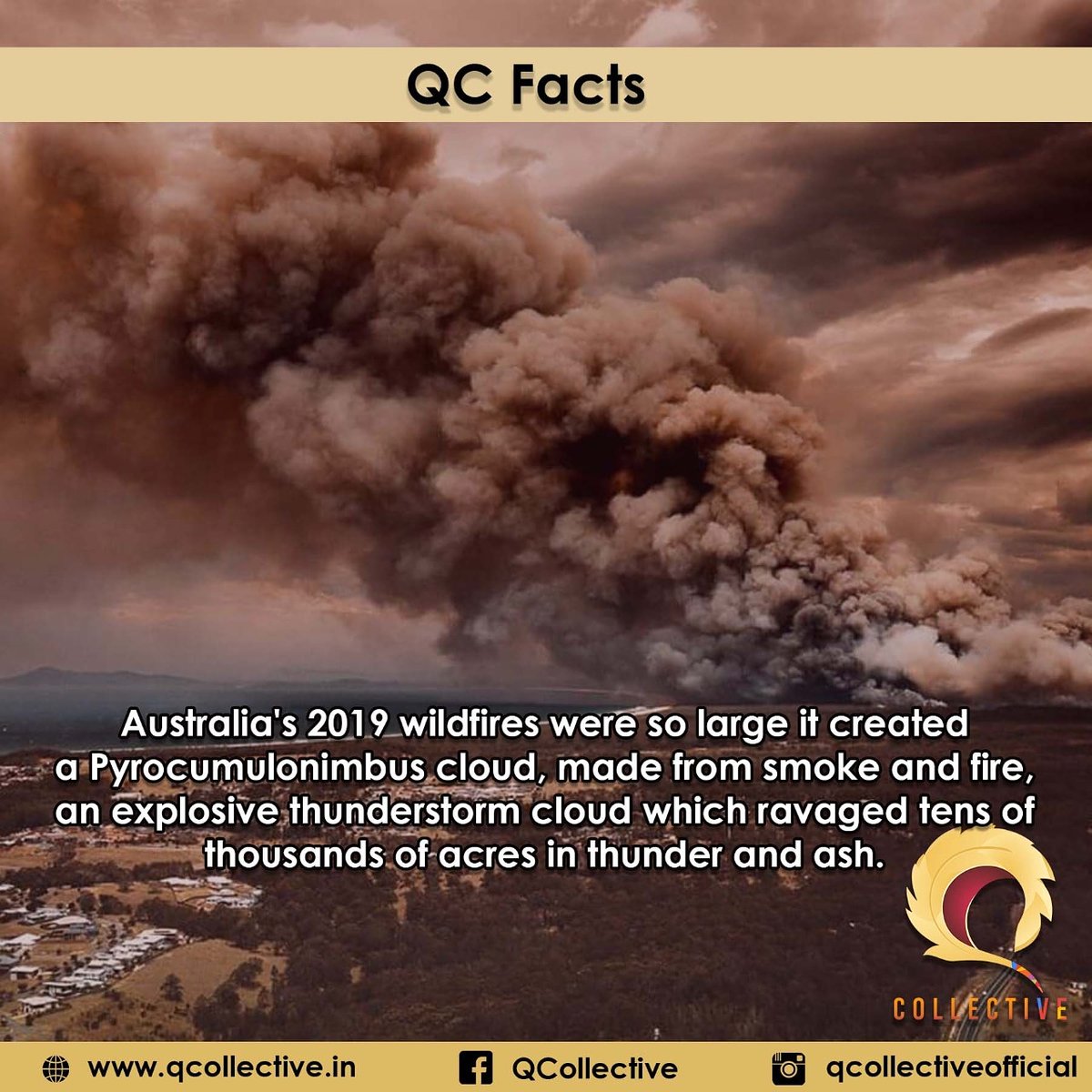 QCollective1's tweet photo. #QCFacts #QCollective #quiz #quizmasters #keralaquizzing #indiaquizzers #keralaquizzers #worldfacts #trivia #Facts #Fact  #FactDose #FactDaily #australia #bushfire #australiabushfires #nature #environment https://t.co/BRfvruQEED