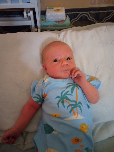 RachelMacStarStream tweet media