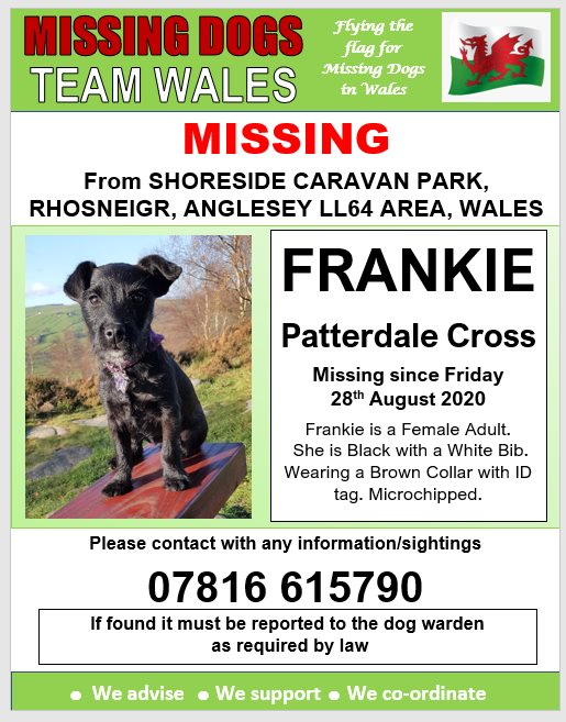 gelert01's tweet photo. #FRANKIE MISSING  #SHORESIDE #CARAVAN #PARK #RHOSNEIGR #ANGLESEY,#LL64 area #NORTHWALES 28/08/2020

@AngleseyScMedia @rosiedoc666 @MissingPetsGB @veryluckypugs @ChrstinaKelly @KarenFi51820768 @AngleseyLostPet https://t.co/9nmcVPjeTk