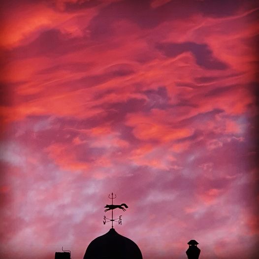 WHS Boarding tweet media