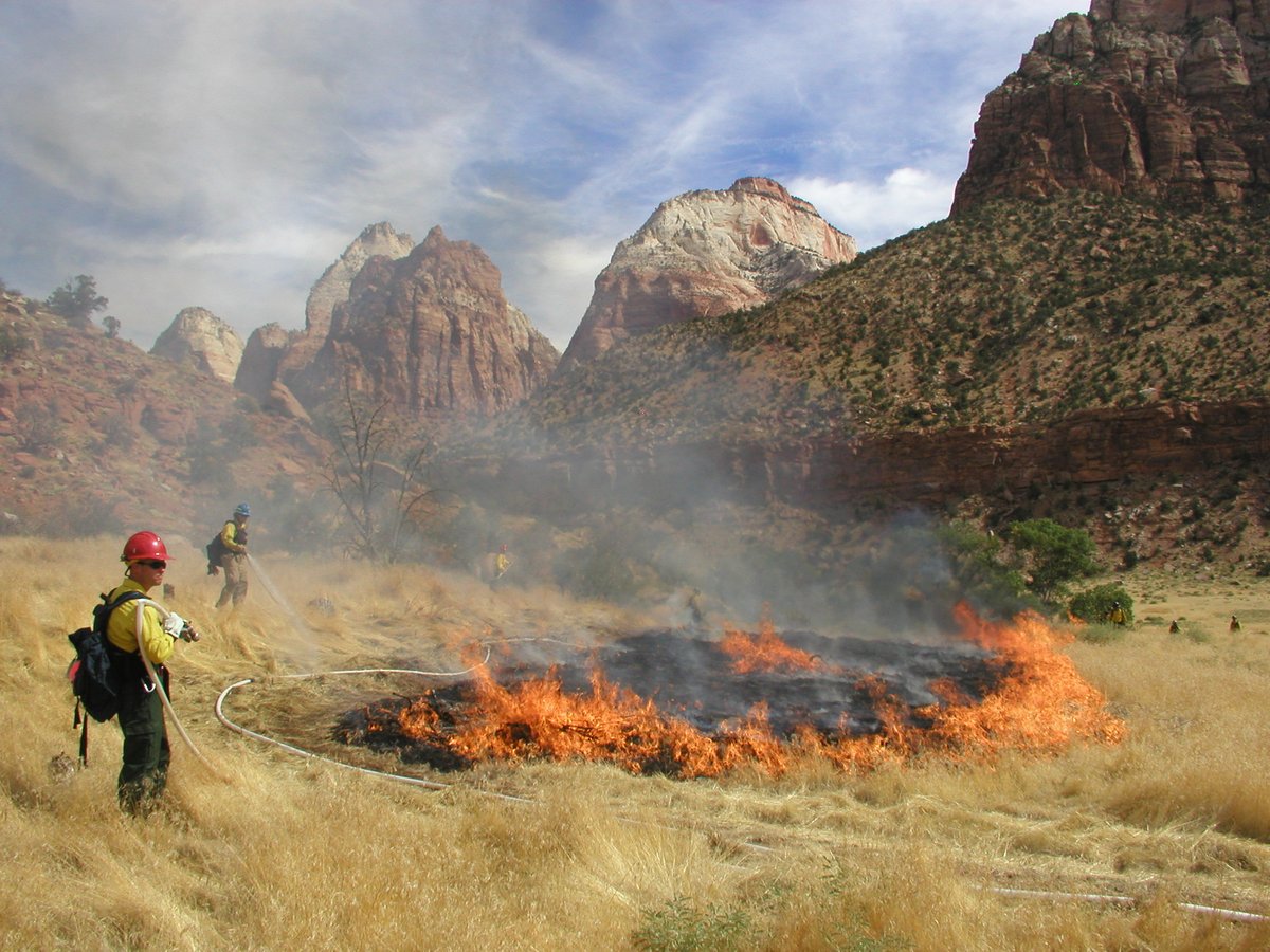 DOIWildlandFire's tweet photo. Research funding available! @FireScienceGOV is soliciting proposals from government &amp; non-government entities for research about a number of priority topics related to wildland fire. More at https://t.co/5jfApOvSKF. #DOIFireStories (📷NPS/David Eaker) https://t.co/wbxZoFeEpA