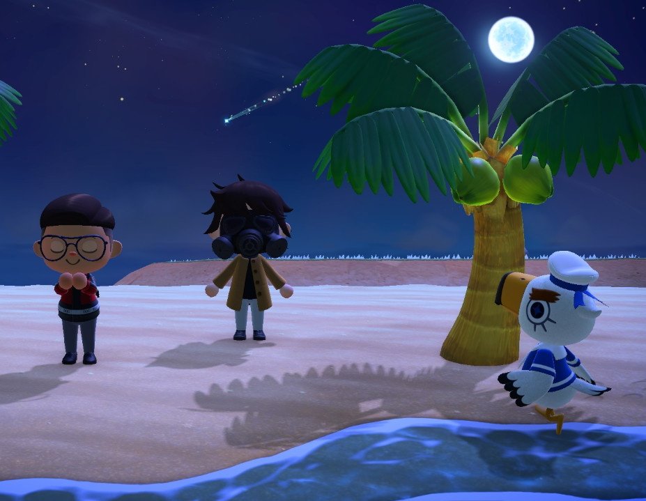 zulumba's tweet photo. Notte di stelle cadenti a Beach City con @Asuka43163036 @trash_andrew @italian__player 

#AnimalCrossingNewHorizons #animalcrossing #acnh https://t.co/G1iCMIfuYN