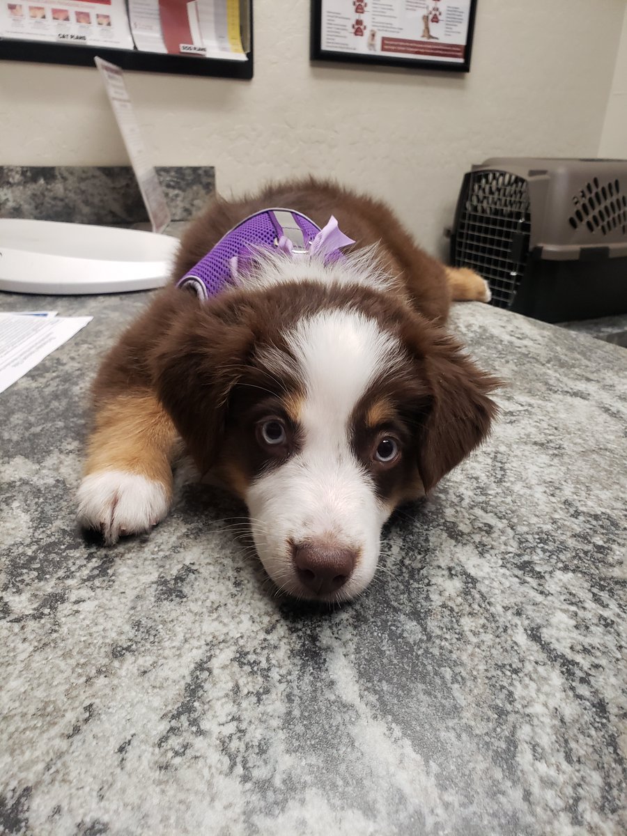 TSVC's tweet photo. How cute is this little girl!? https://t.co/DosOf9XCHh