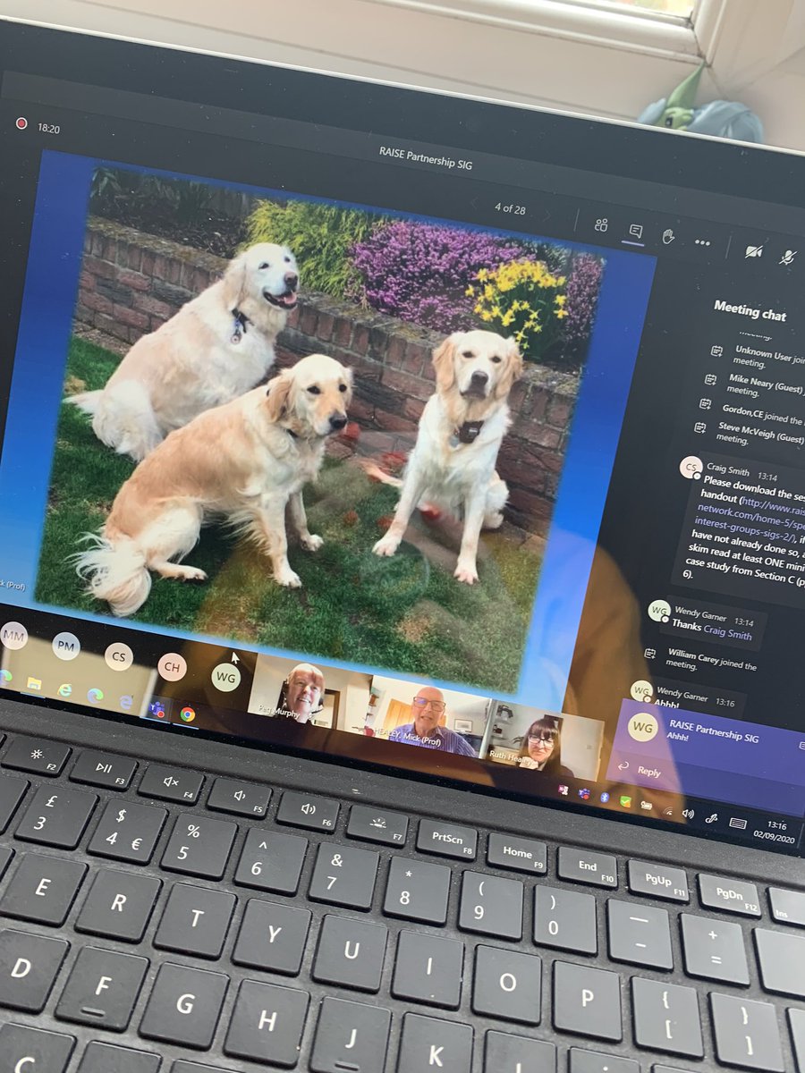 Laura Gower tweet media