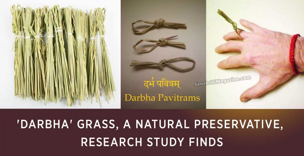 Why does Hindus add “Darbha Grass” to every food during moon eclipse? Electron microscopy of different grasses revealed stunning nano-patterns and hierarchical nano or micro structures in Darbha grass while they were absent in other grasses. 1/n