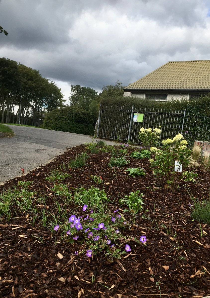 Cllr. Joan Hopkins (@hopkins_joan) on Twitter photo <a href="/BaldoyleNews/">Baldoyle News Network</a> <a href="/Fingalcoco/">Fingal County Council</a> <a href="/PhotosOfDublin/">Photos of Dublin</a> <a href="/davidhealyv/">David Healy</a> <a href="/CllrEOB/">Eoghan O'Brien</a> <a href="/brianmcdonagh/">Brian McDonagh</a> <a href="/jguerin11/">Jimmy Guerin</a> <a href="/AoibhinnTormey/">Cllr. Aoibhinn Tormey</a> <a href="/alavin1/">Cllr Anthony Lavin</a> I know, amazing, “putting the Bee 🐝 in Baldoyle. Loads of great work being done by Baldoyle Tidy Towns Supported by <a href="/Fingalcoco/">Fingal County Council</a>. Always looking for new members. <a href="/BaldoyleNews/">Baldoyle News Network</a> <a href="/Fingalcoco/">Fingal County Council</a> <a href="/PhotosOfDublin/">Photos of Dublin</a> <a href="/davidhealyv/">David Healy</a> <a href="/CllrEOB/">Eoghan O'Brien</a> <a href="/brianmcdonagh/">Brian McDonagh</a> <a href="/jguerin11/">Jimmy Guerin</a> <a href="/AoibhinnTormey/">Cllr. Aoibhinn Tormey</a> <a href="/alavin1/">Cllr Anthony Lavin</a> I know, amazing, “putting the Bee 🐝 in Baldoyle. Loads of great work being done by Baldoyle Tidy Towns Supported by <a href="/Fingalcoco/">Fingal County Council</a>. Always looking for new members.