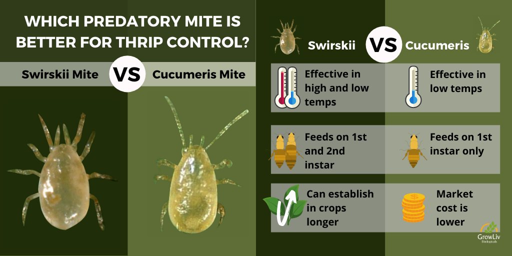 GrowLiv Biologicals Ltd tweet media