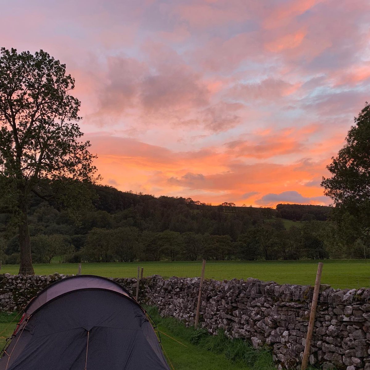 40twenty's tweet photo. Camping in the Dales ⛺️. A great, extended bank holiday weekend camping. Mixed bag of weather, walks along the river Wharfe and Dales Way, numerous pubs, local ales, a field mouse intruder and good quality family time #camping #yorkshiredales #dalesway #walking #pubs #familytime https://t.co/XO2ewETcEa