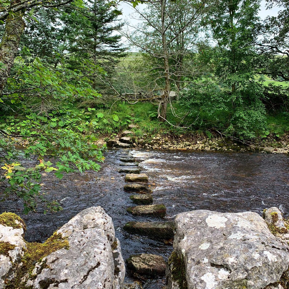 40twenty's tweet photo. Camping in the Dales ⛺️. A great, extended bank holiday weekend camping. Mixed bag of weather, walks along the river Wharfe and Dales Way, numerous pubs, local ales, a field mouse intruder and good quality family time #camping #yorkshiredales #dalesway #walking #pubs #familytime https://t.co/XO2ewETcEa