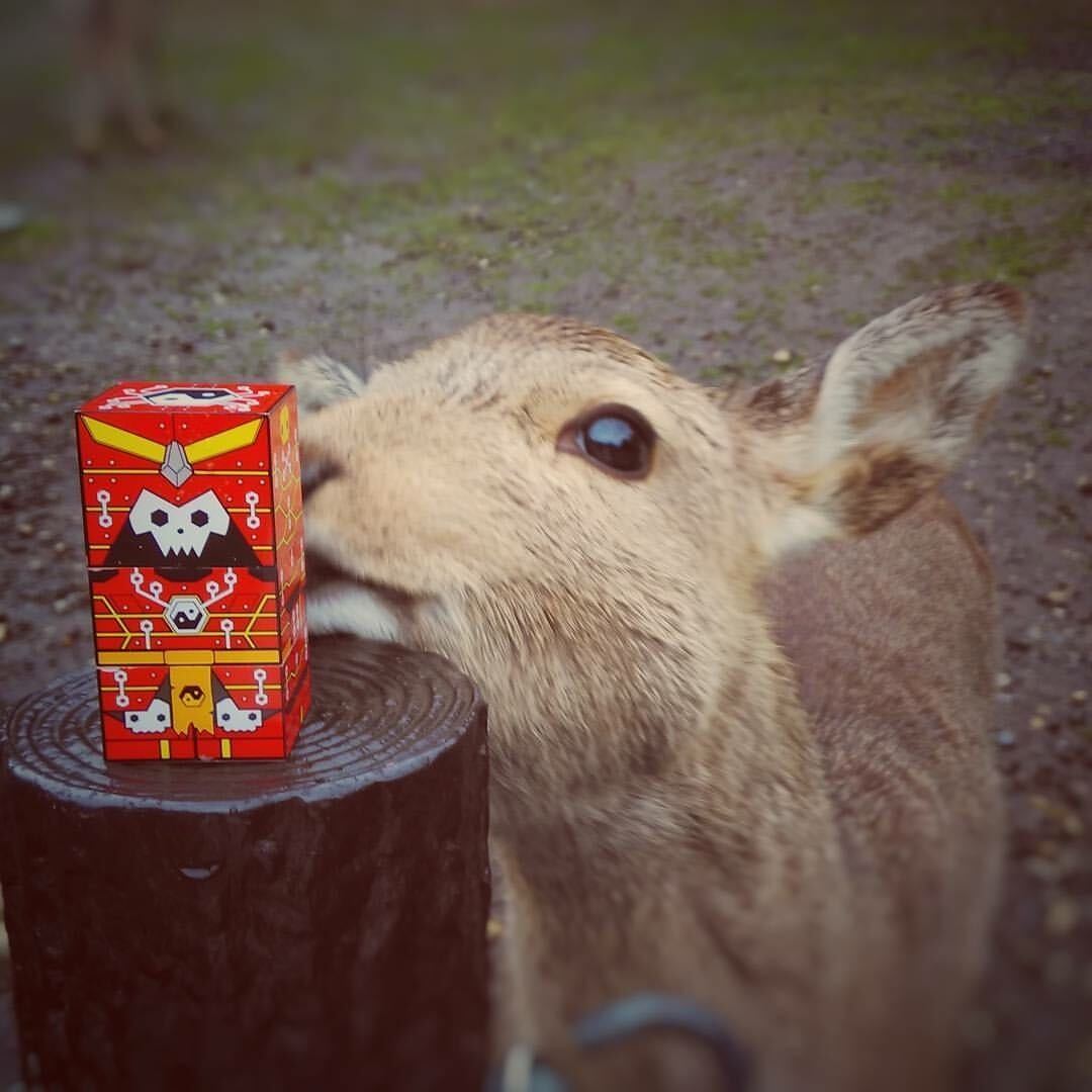 SwapBots tweet media