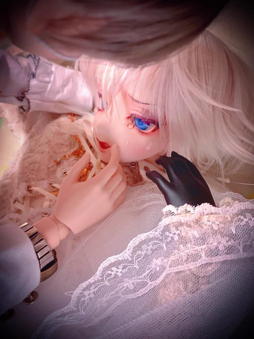 (ᵔᴥᵔ) 