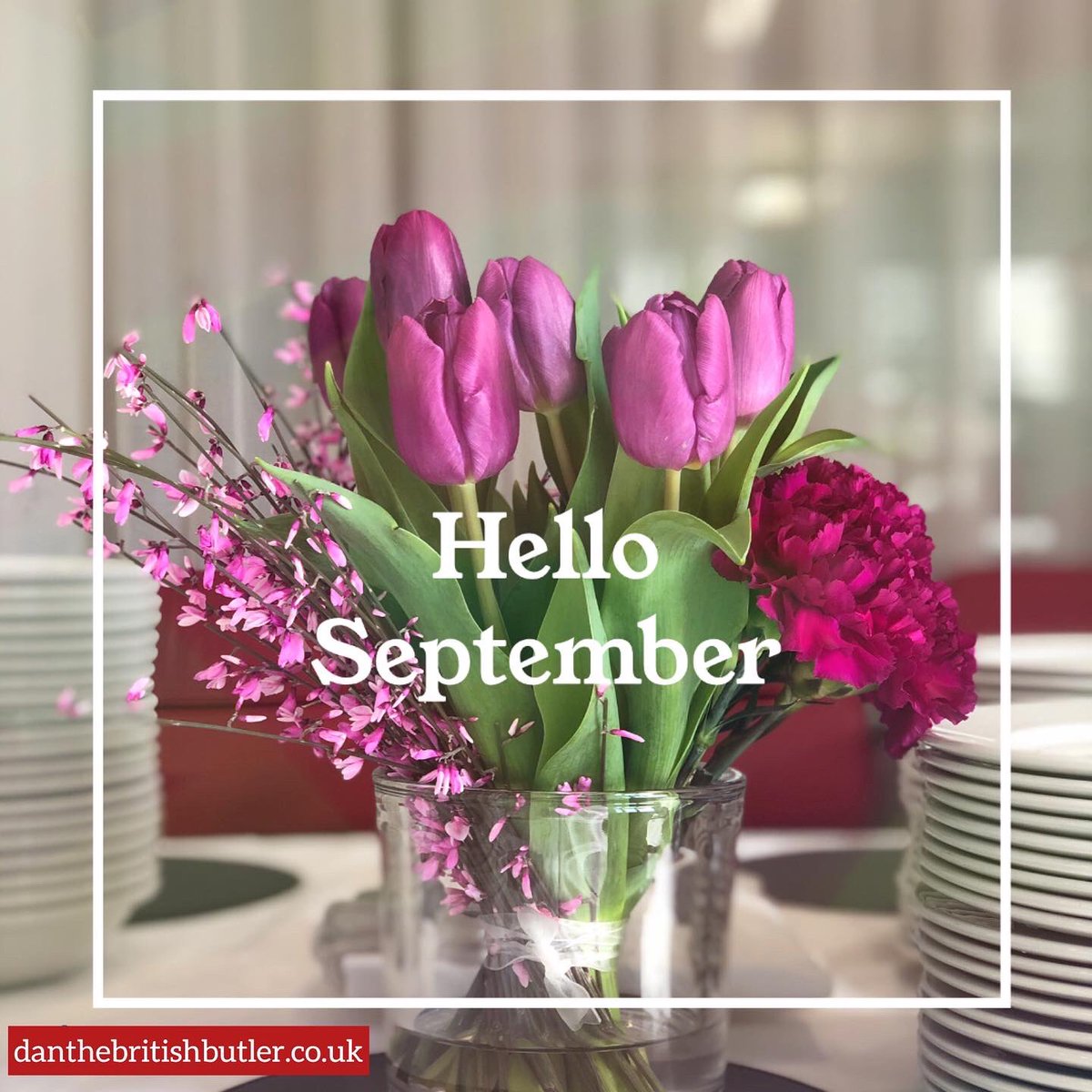 topclassbutler's tweet photo. Hello #september the start of the indoor dinner party season &amp; dare I say it, the lead up to #christmas 
With private dining rooms in restaurants being in high demand to be able to entertain at home or your staycation villa with your #bubble has never been more popular. https://t.co/yAVialJvsB