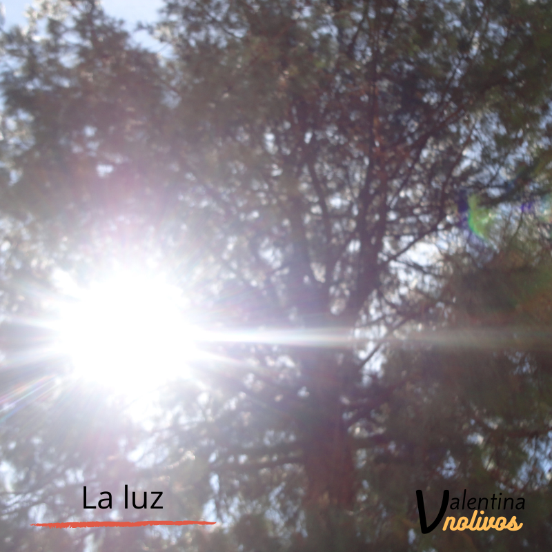 karinatacuri01's tweet photo. El sol sale siempre para todos! #paisaje #naturaleza https://t.co/ocQtMJrN2q