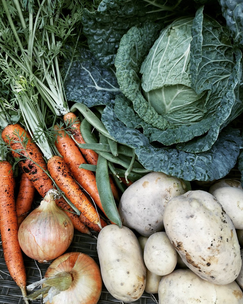 Biguft's tweet photo. Today's roast dinner will include all these fresh goodies from the allotment. #allotment #allotmentlife #plot30b https://t.co/K68PQ9q59r