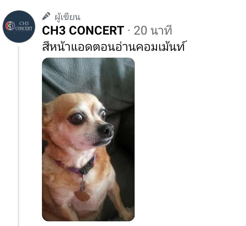 SupportPon's tweet photo. แอด #CH3CONCERT อ่านคอมเม้นท์ของแฟนๆที่อยากติดฝนกับภณ 😁☺🙊 อดขำไม่ได้จริงๆค่ะ บอกแล้ววววว แฟนๆเขาฟิน💕 #FanMeetGreetOnlineXPonNawasch #ติดฝนกับภณ #pon_nawasch https://t.co/0C7IvkHc01
