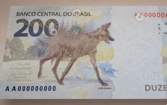 DosXerok's tweet photo. Não deram dicumê a esse lobo guará? ele vai morrer antes de chegar no nosso bolso https://t.co/eahV3hOg0e
