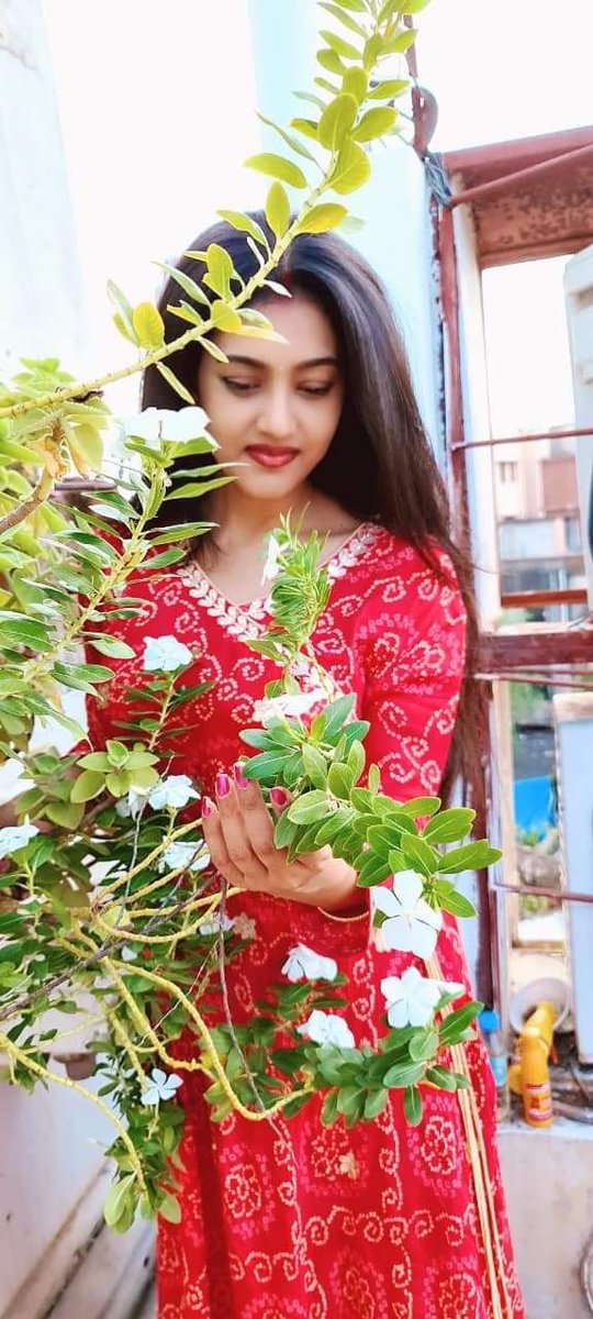 Sammanita4's tweet photo. Wherever life plants you, bloom with grace 🌸🙏 https://t.co/T3QTYSildo