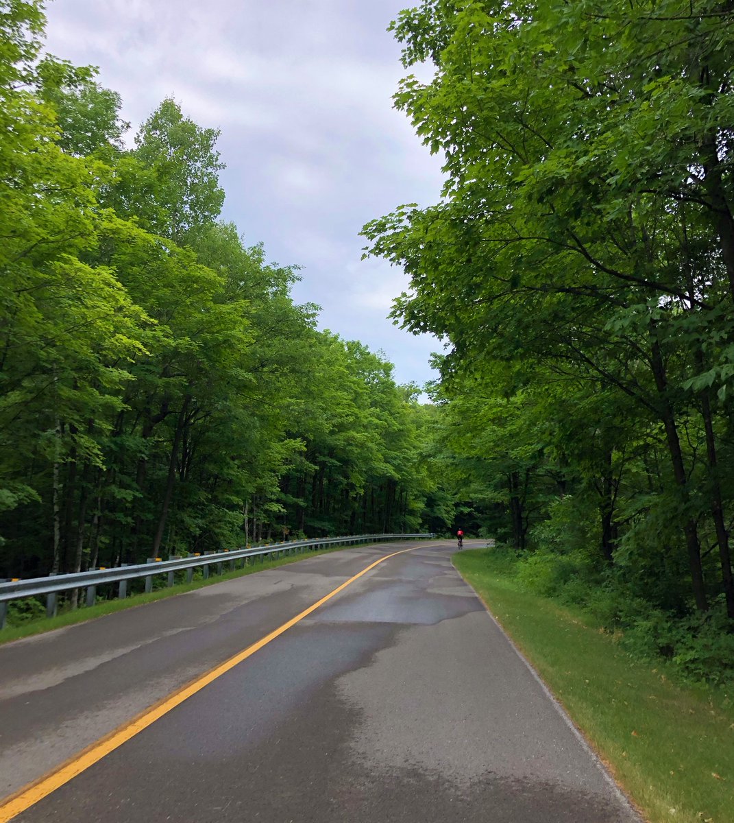 Gatineau Park tweet media