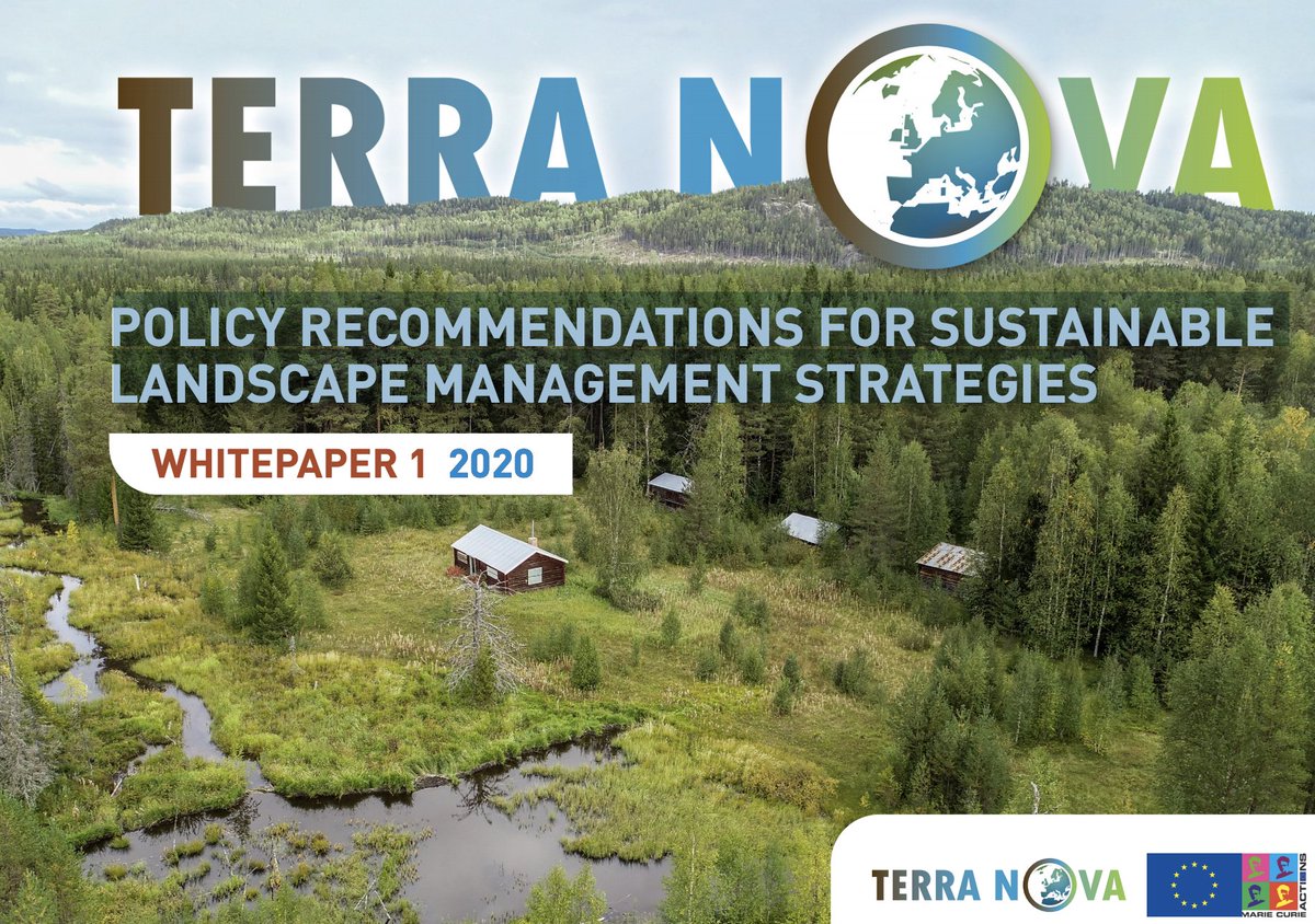 Néstor Fernández tweet media