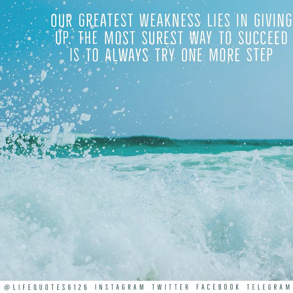 lifequotes6126's tweet photo. To get Quotes about Islam, Life, Motivation, and Success etc.

In three languages 
English /Urdu /Arabic 

@lifequotes6126

Instagram
Facebook
Twitter
Telegram

#englishquotes #quotesinenglish #motivationalquotesandsayings #inspirationalquotes #success #motivation #ViralEnglish https://t.co/idZtI6N7Nt