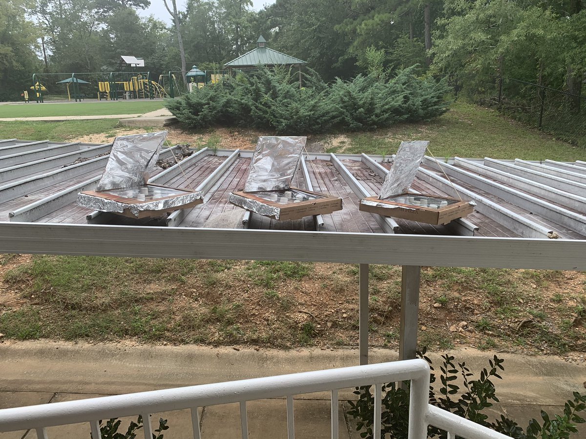 DeDe Shipp tweet media